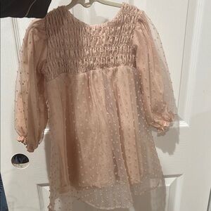 Zara kid Sheer Pink Smocked Dress